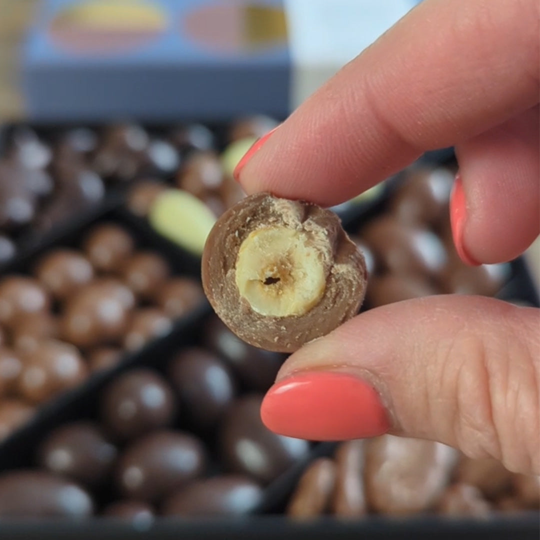 A Friars of Keswick luxury chocolate-nut collection, dark and milk chocolate-coated Brazil nuts, pecans and almonds.